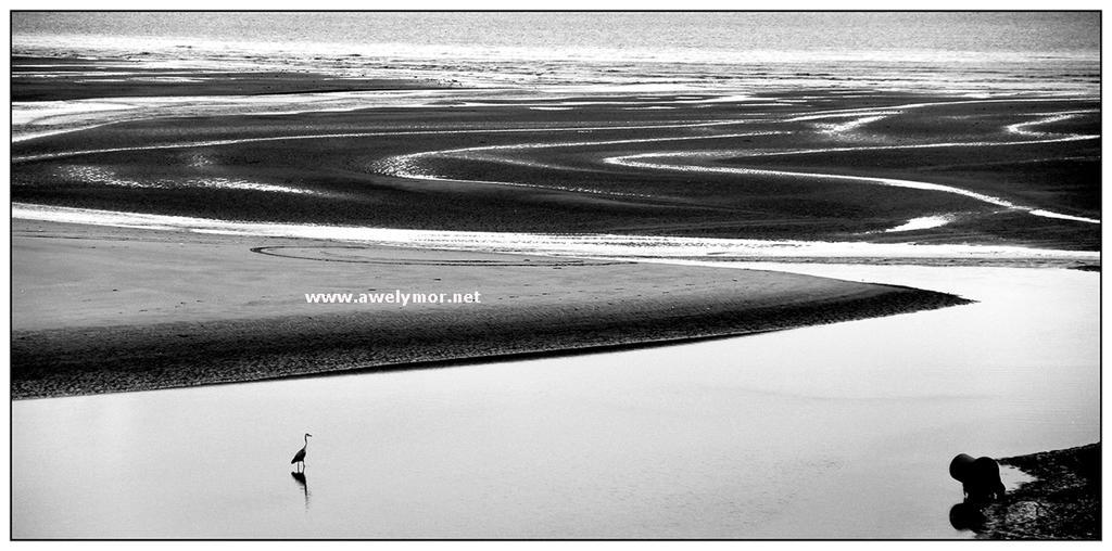 Appartamento Awel Y Mor Llanelli Esterno foto